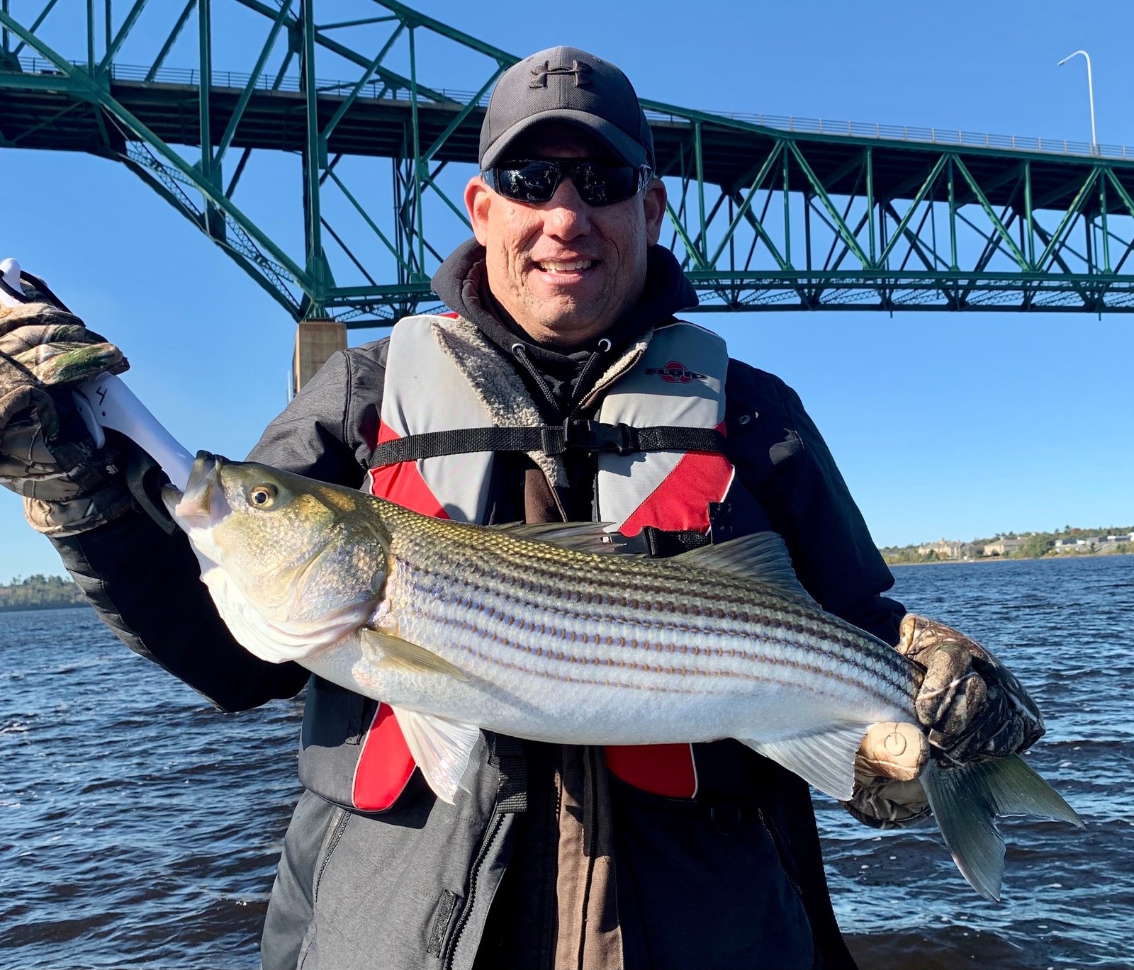 Striped bass caught on the Miramichi River