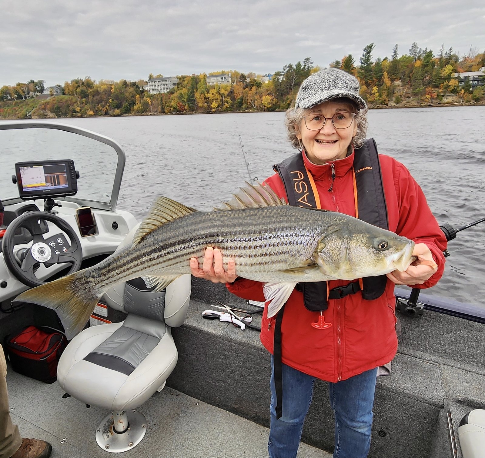 Angler with striped bass on the Miramichi River