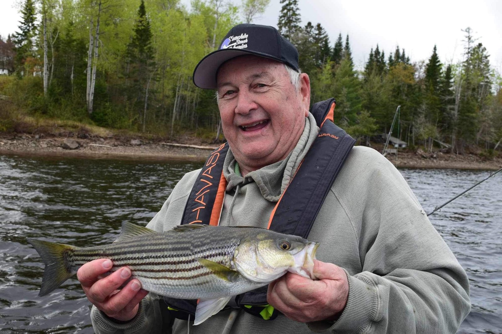 Trophy striped bass Miramichi River