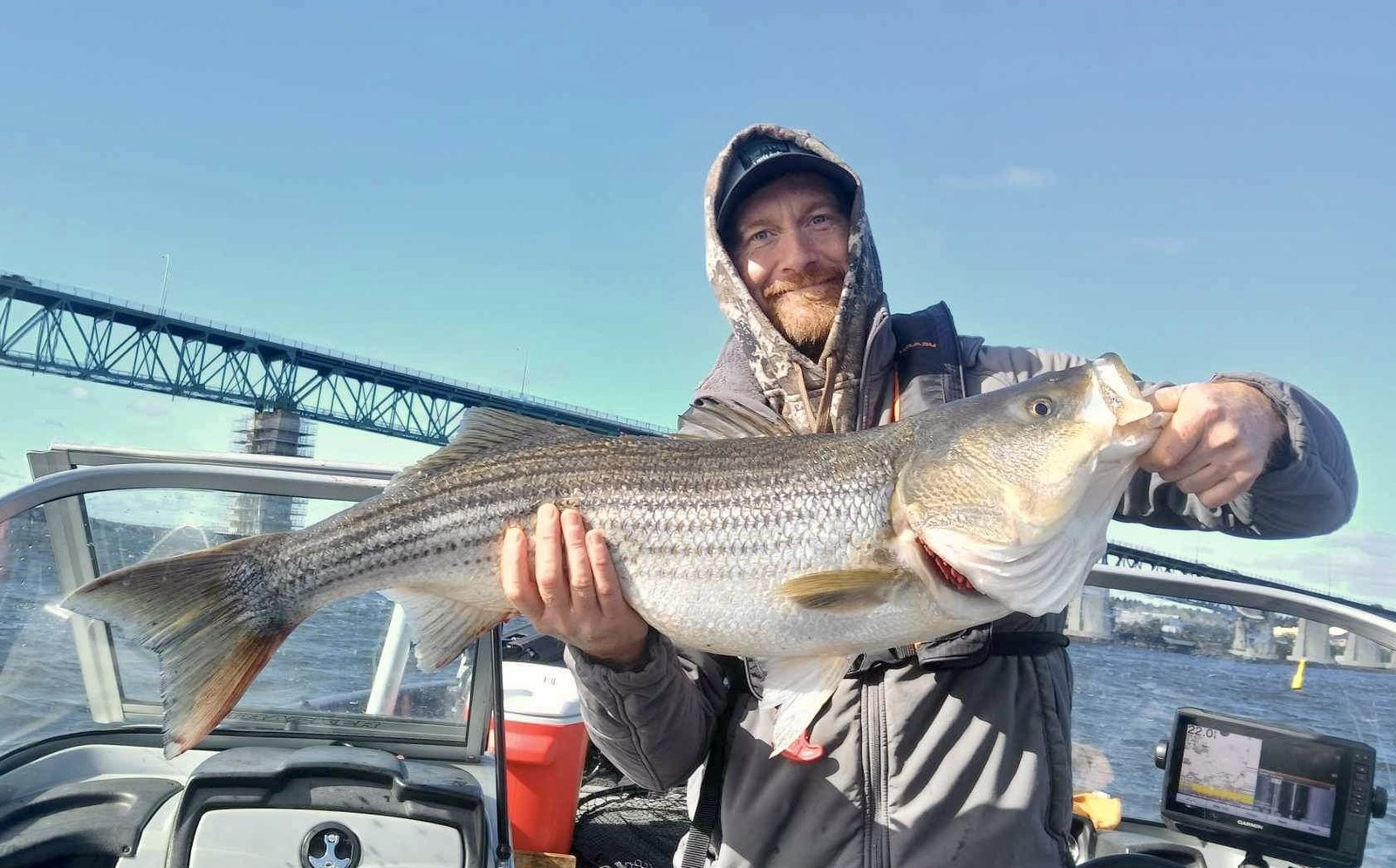 Striped bass fishing guide New Brunswick