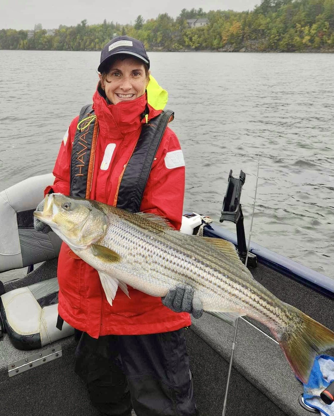 Spring striped bass fishing Miramichi