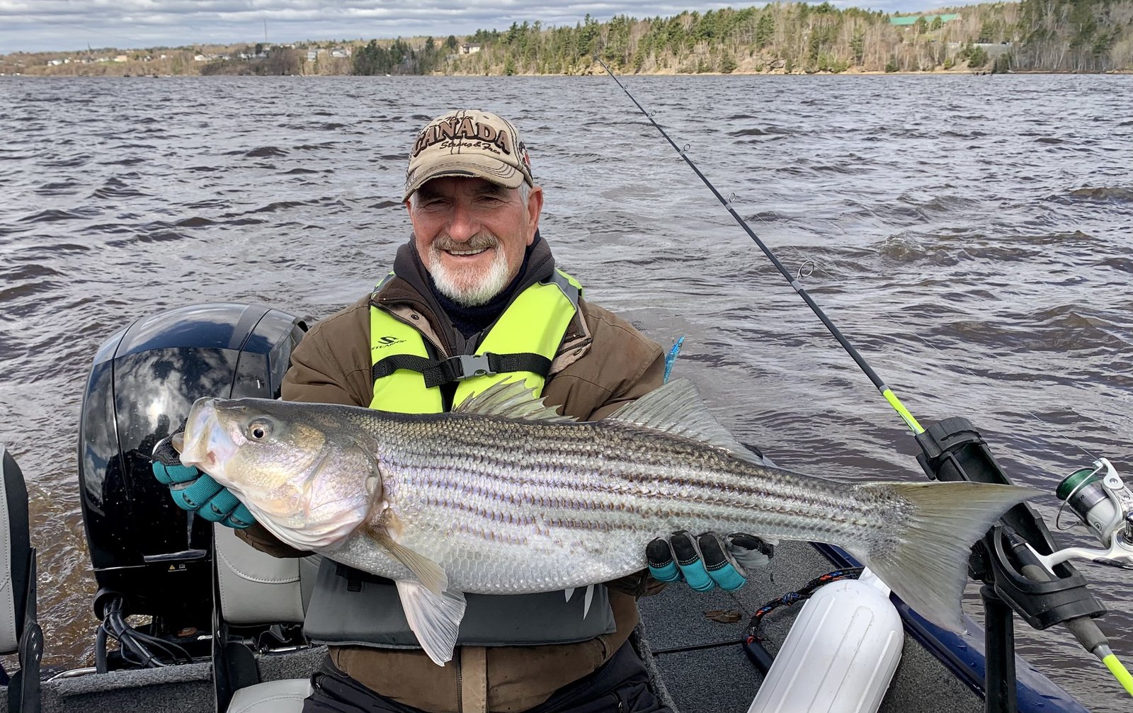 Guided striper trip Miramichi