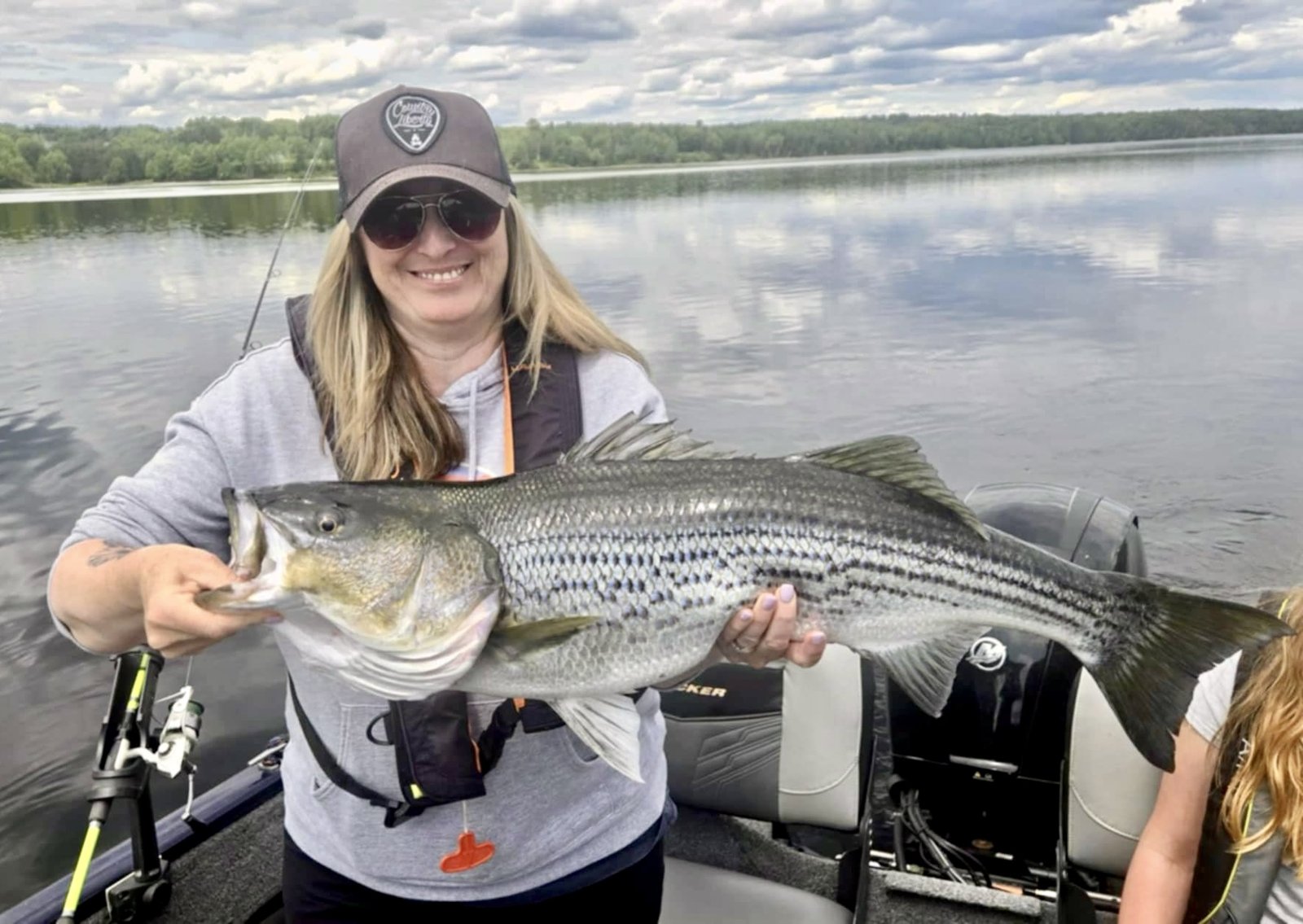 Striped bass caught on the Miramichi