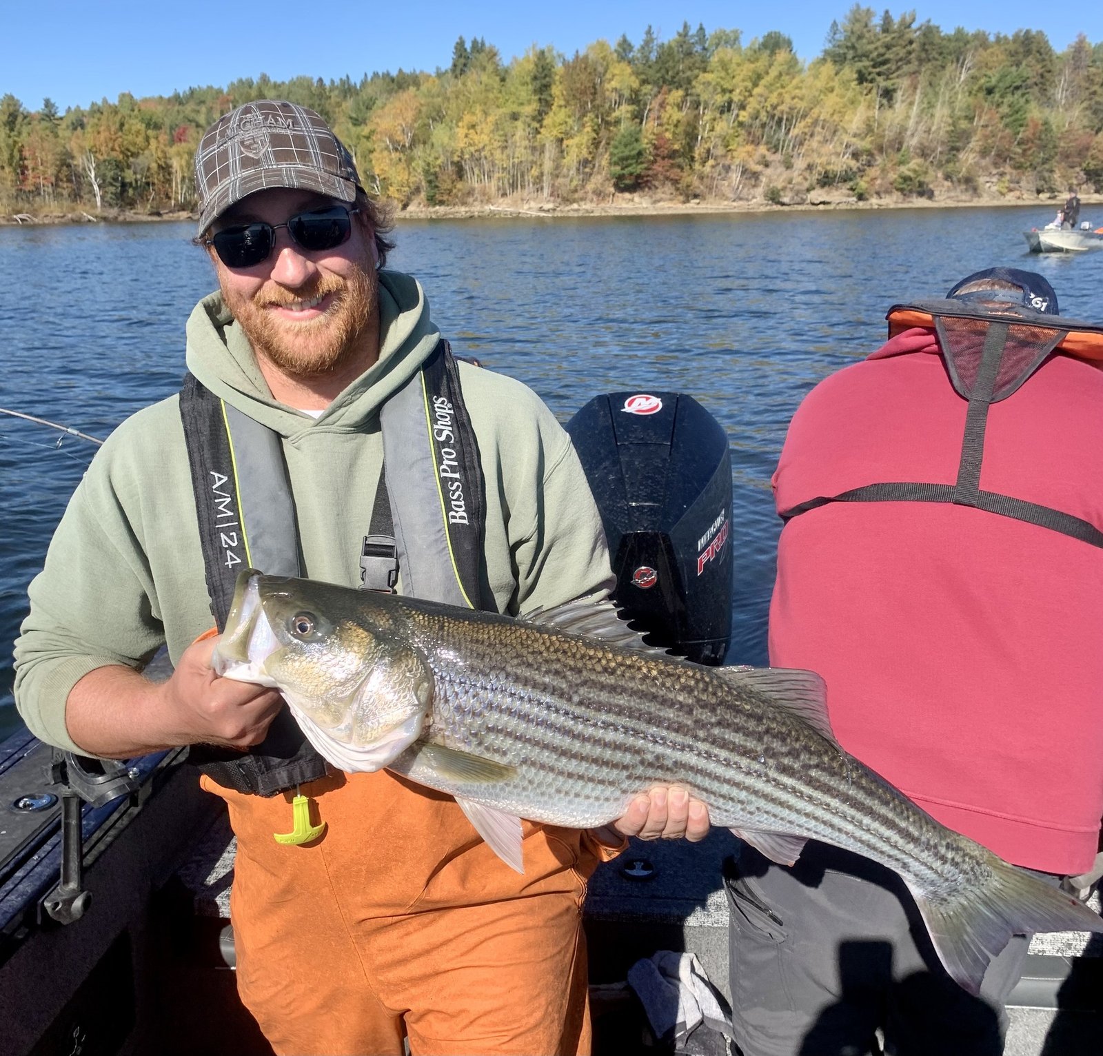 Catch and release striped bass Miramichi