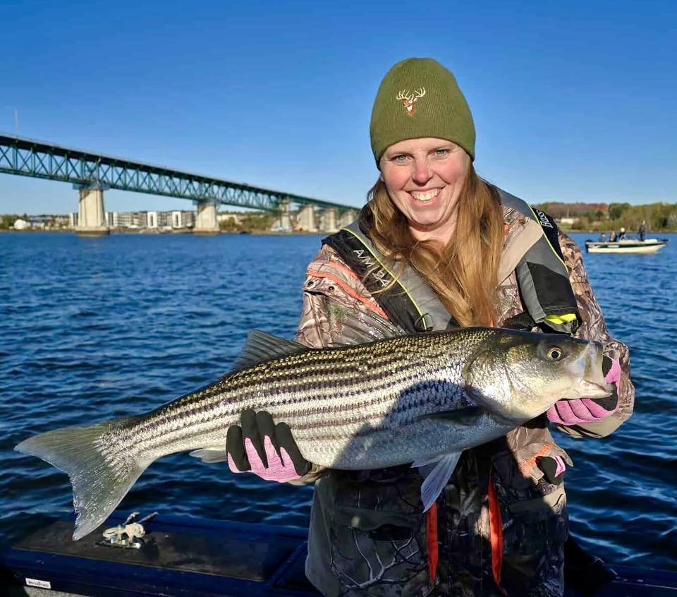 Striped bass fishing guide New Brunswick