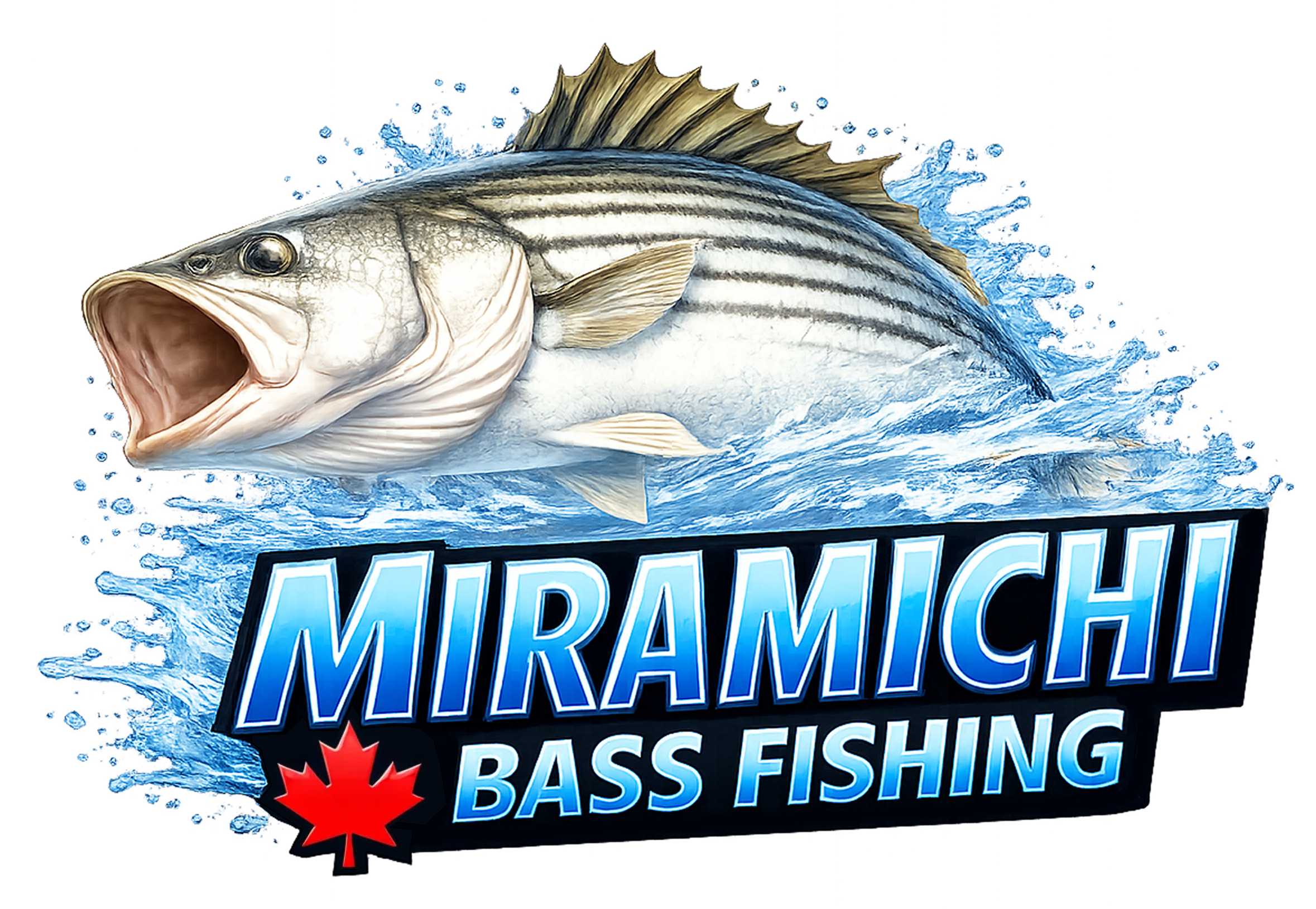 Miramichi Bass Fishing